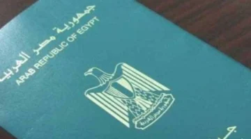 وزير الداخلية يصدر قرارات بترحيل 42 مصريًا خارج البلاد لأسباب قانونية محددة